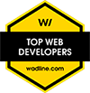 Top Web Development Companies in Projects